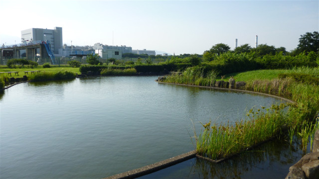 川とのふれあい公園（開運富士山スポット:逆さ富士）